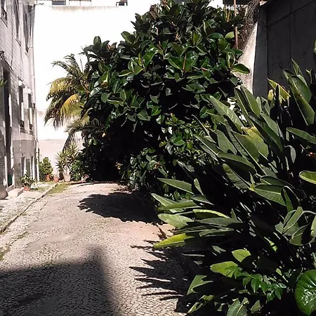 דירה Charming Loft In Intendente