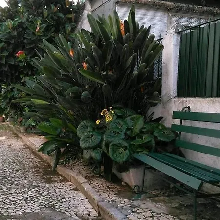 شقة Charming Loft In Intendente *