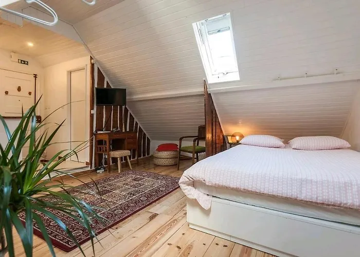 Charming Loft In Intendente