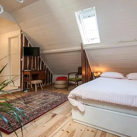 Charming Loft In Intendente